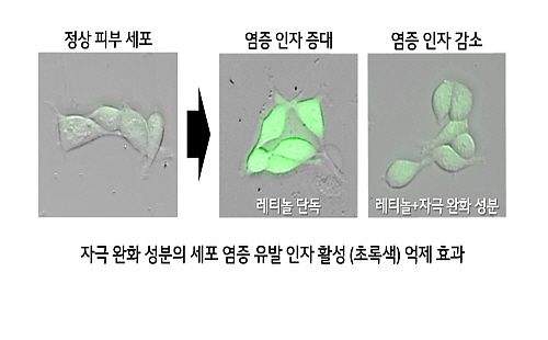 출처 : LG생활건강