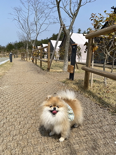 출처 : 상하농원