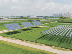 태양광 발전, 저마다 다른 이격거리 규제에 발목 잡혀 신음